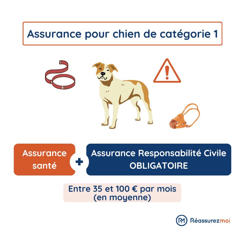 descoperă tot ce trebuie să știi despre asigurarea mutuală pentru animale: comparații, garanții, prețuri și sfaturi pentru alegerea asigurării de sănătate potrivite pentru însoțitorul tău fidel.