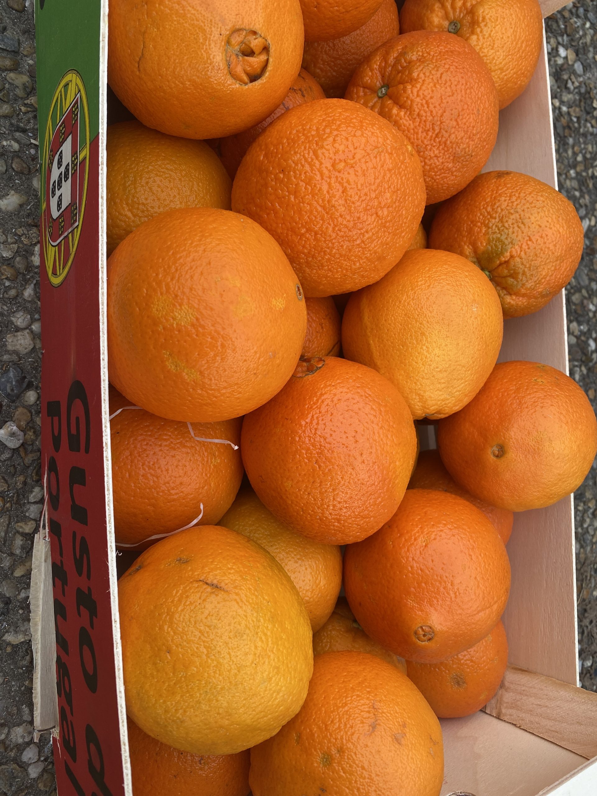 découvrez la couverture orange, un symbole emblématique du portugal, qui allie tradition et modernité. explorez son histoire, ses motifs et son utilisation dans la culture portugaise. plongez dans l'univers chaleureux de cette pièce unique qui incarne l'âme du pays.