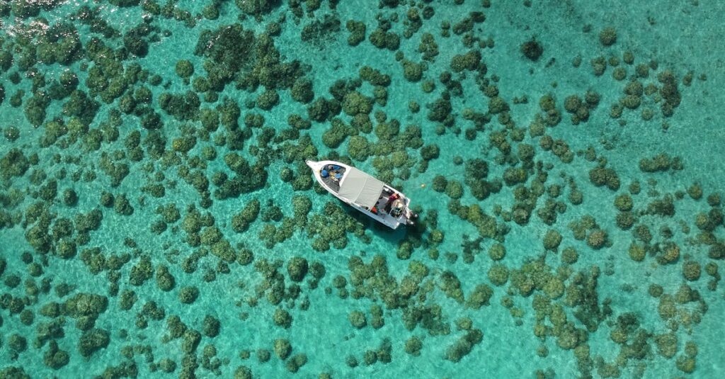 découvrez l'île maurice, une destination par excellence aux plages paradisiaques, à la culture riche et à la gastronomie savoureuse. explorez ses paysages luxuriants, ses récifs coralliens et vivez une expérience inoubliable au cœur de l'océan indien.